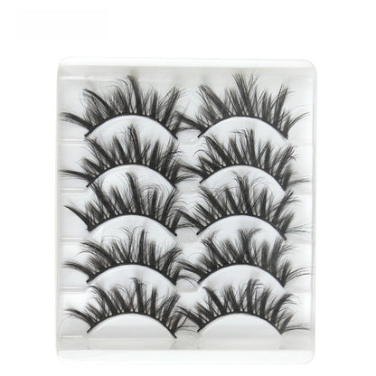 5 pairs of eyelashes