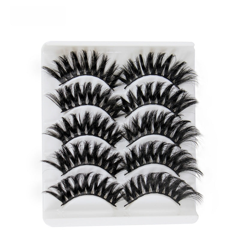 5 pairs of eyelashes