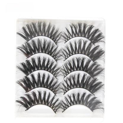 5 pairs of eyelashes