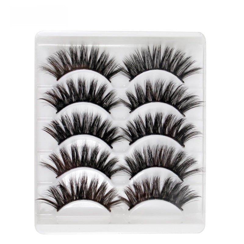 5 pairs of eyelashes