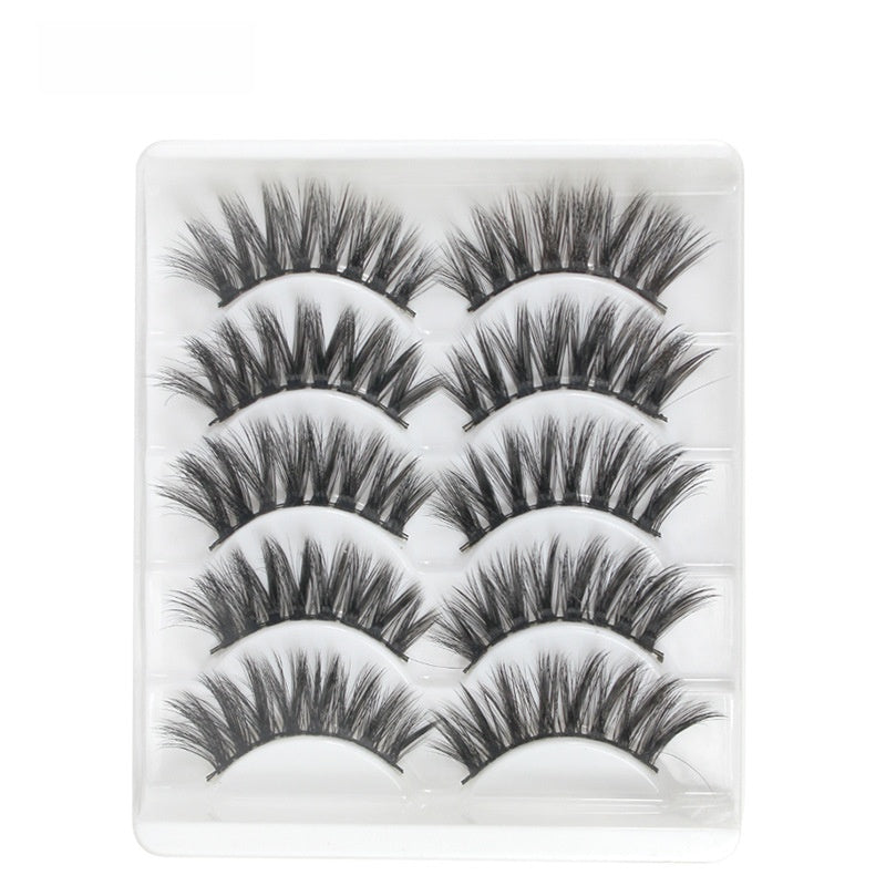 5 pairs of eyelashes