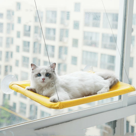 Buy Cat Window Hammock – Hanging Sun-Perch for Cats & Kittens