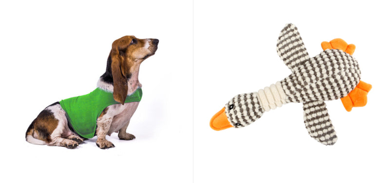 Buy Anxiety Jacket Vest for Dogs & Cats | Calming Comfort Wear