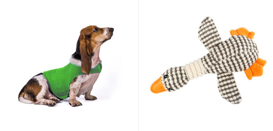 Buy Anxiety Jacket Vest for Dogs & Cats | Calming Comfort Wear