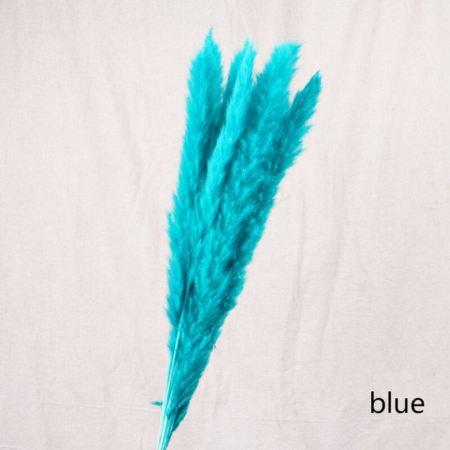 Buy First Reed Dried Flower Home Decoration Stylish Interior Art