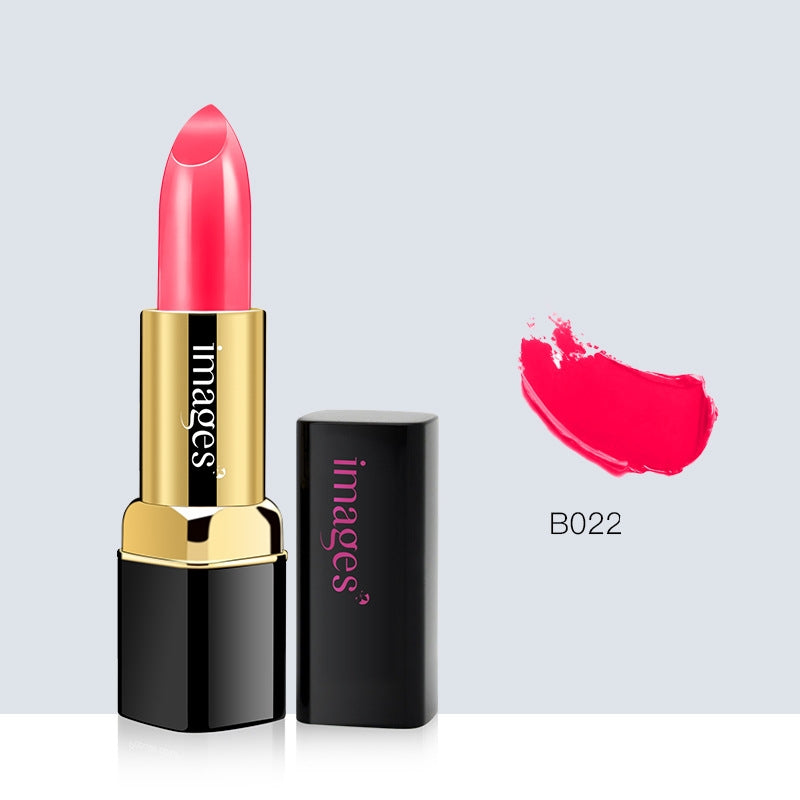 Lipstick Lip Gloss Set Moisturizing Colors for All-Day Wear