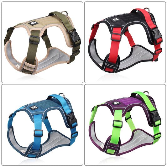 Adjustable Dog Harness with Leash Comfortable Daily Dog Fit