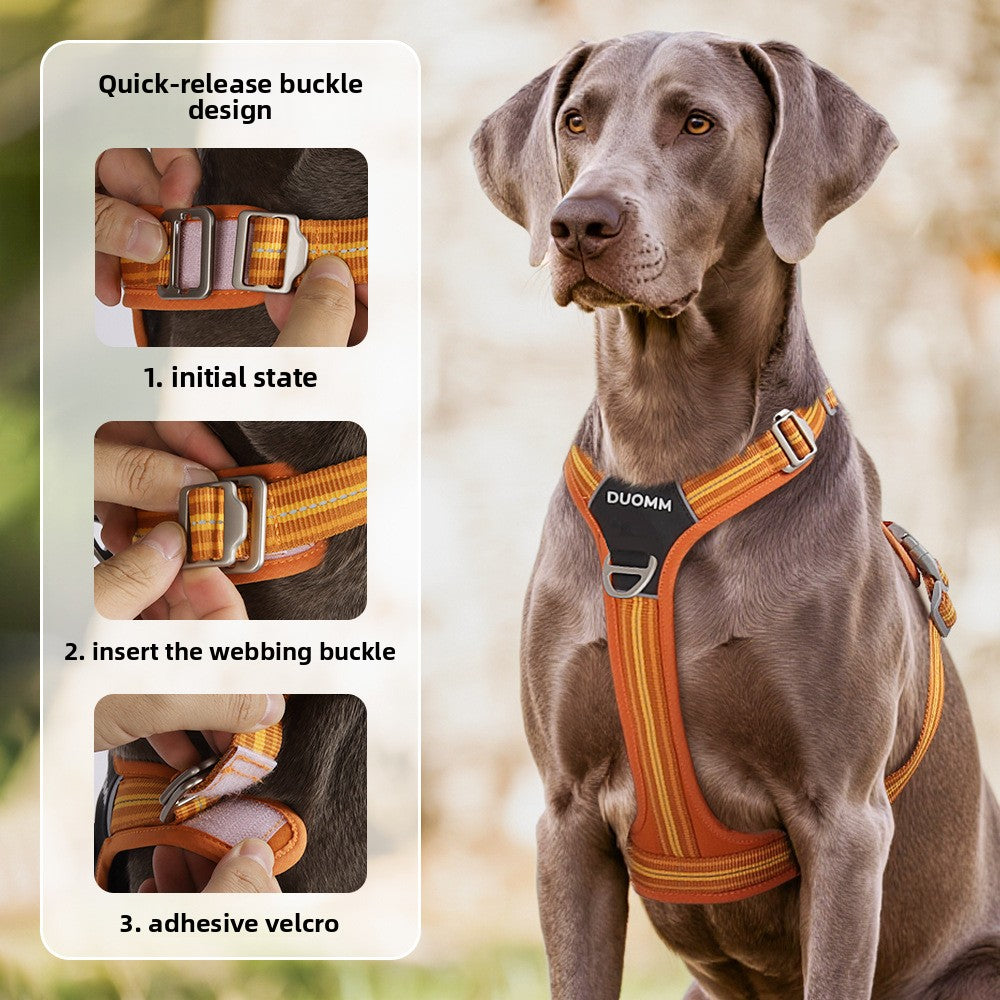 Y-Shaped Anti-Pull Dog Harness and Leash for Dogs Daily Use