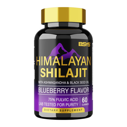 Buy BSYS Shilajit Gummies 60's – Herbal Supplement for Vitality
