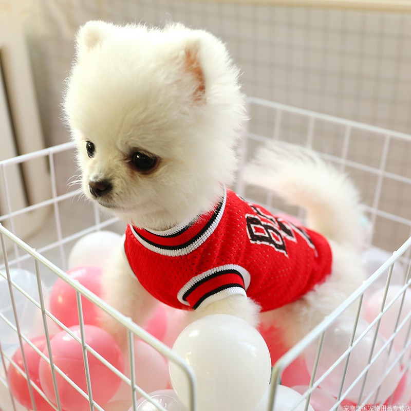 Teddy Vest Dog Clothes – Lightweight & Breathable Summer Wear