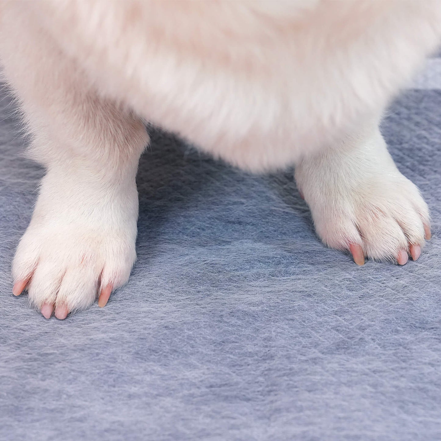 PETMARVEL Disposable Charcoal Puppy Pads for Odor Control