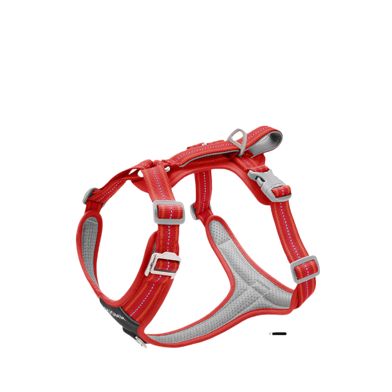 Y-Shaped Anti-Pull Dog Harness and Leash for Dogs Daily Use