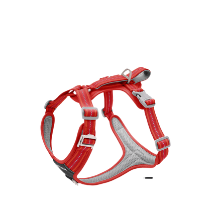 Y-Shaped Anti-Pull Dog Harness and Leash for Dogs Daily Use