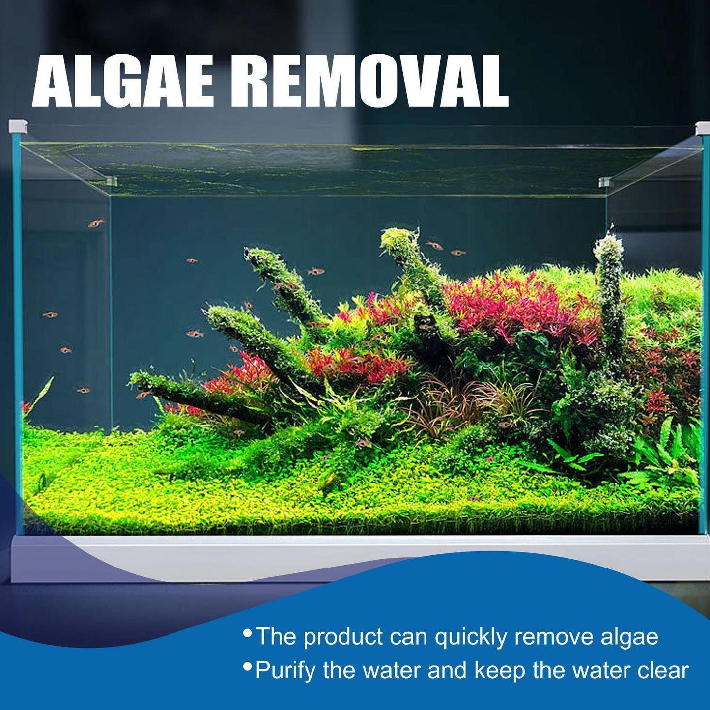 Buy Igbondigal Lichen Aquarium Algae Remover Cleaning Supply