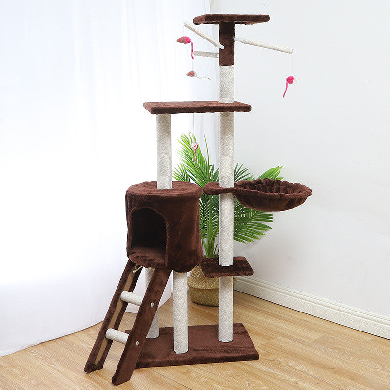 Buy Indoor Cat Climber and Cat House for Play Rest and Exercise