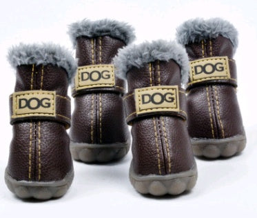 Buy Stylish Pet Shoes & Socks for Indoor and Outdoor Comfort