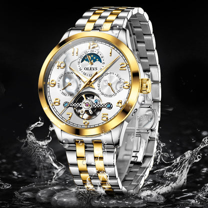 Luminous Waterproof Fully Automatic Mechanical Watch For Men