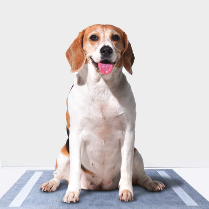 PETMARVEL Disposable Charcoal Puppy Pads for Odor Control