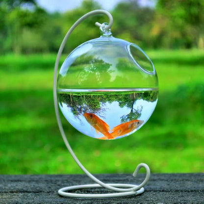 Buy Decorative Hanging Glass Fish Tank for Home & Office Decor