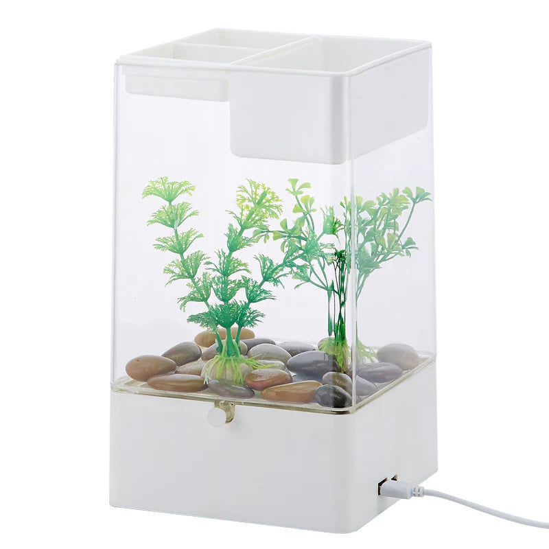 Ecological Betta Tank Living Room Mini Size Home