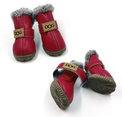Buy Stylish Pet Shoes & Socks for Indoor and Outdoor Comfort