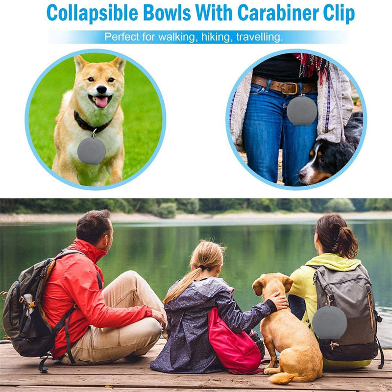 Buy Travel-Friendly Foldable Double Pet Bowl for Dogs & Cats