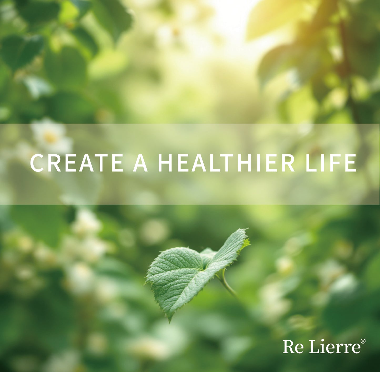 Re Lierre 3-in-1 Nasal Bar – Portable Daily Energy Snack