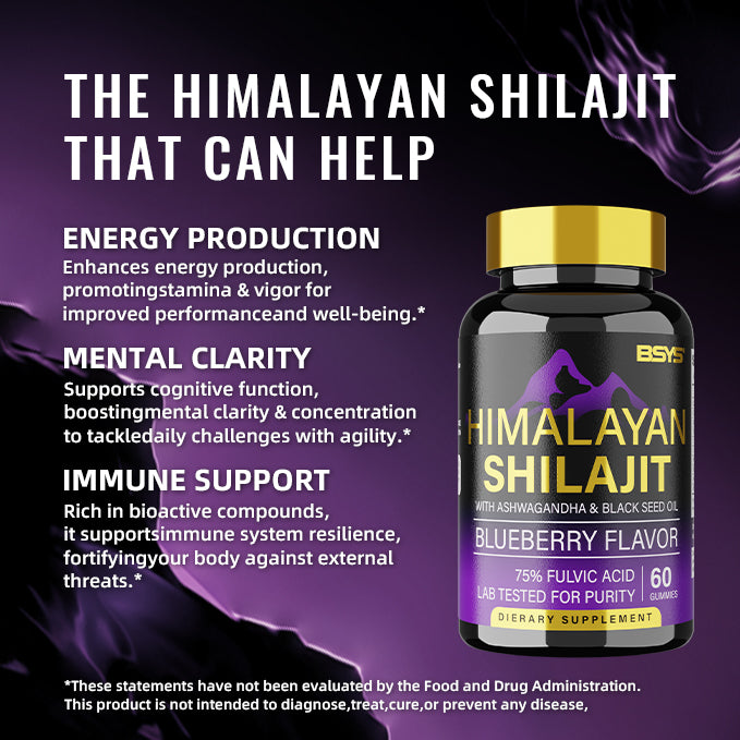 Buy BSYS Shilajit Gummies 60's – Herbal Supplement for Vitality
