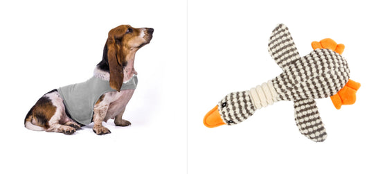 Buy Anxiety Jacket Vest for Dogs & Cats | Calming Comfort Wear