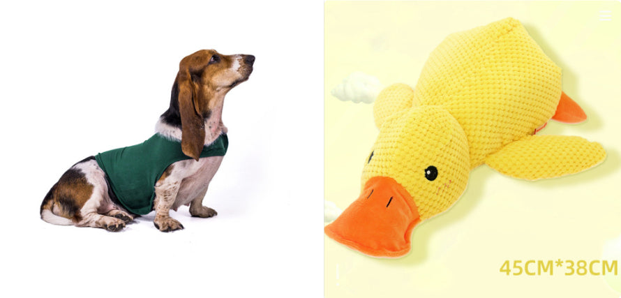 Buy Anxiety Jacket Vest for Dogs & Cats | Calming Comfort Wear