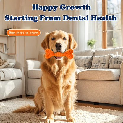 Dog Chew Toy Sticks – Toothbrush & Dental Care Chew Bones