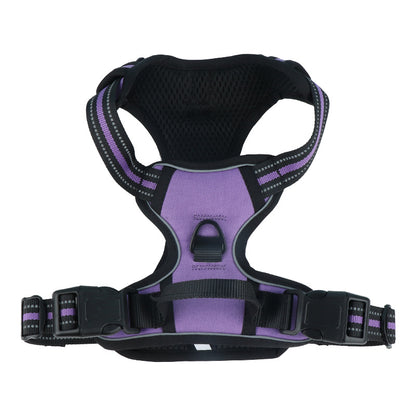 Reflective Dog Harness and Leash for Dogs Daily Walking Use