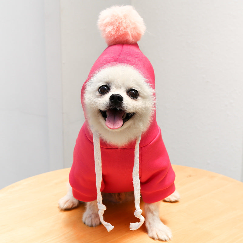 Two-Legged Hooded Dog Clothes Green Fleece Autumn Winter