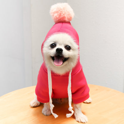 Two-Legged Hooded Dog Clothes Green Fleece Autumn Winter