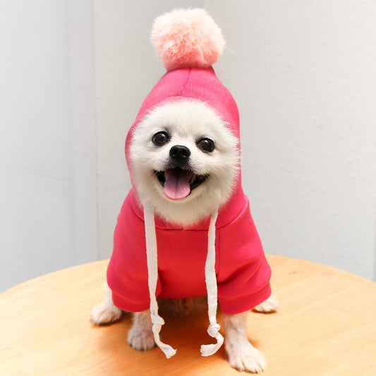Two-Legged Hooded Dog Clothes Green Fleece Autumn Winter