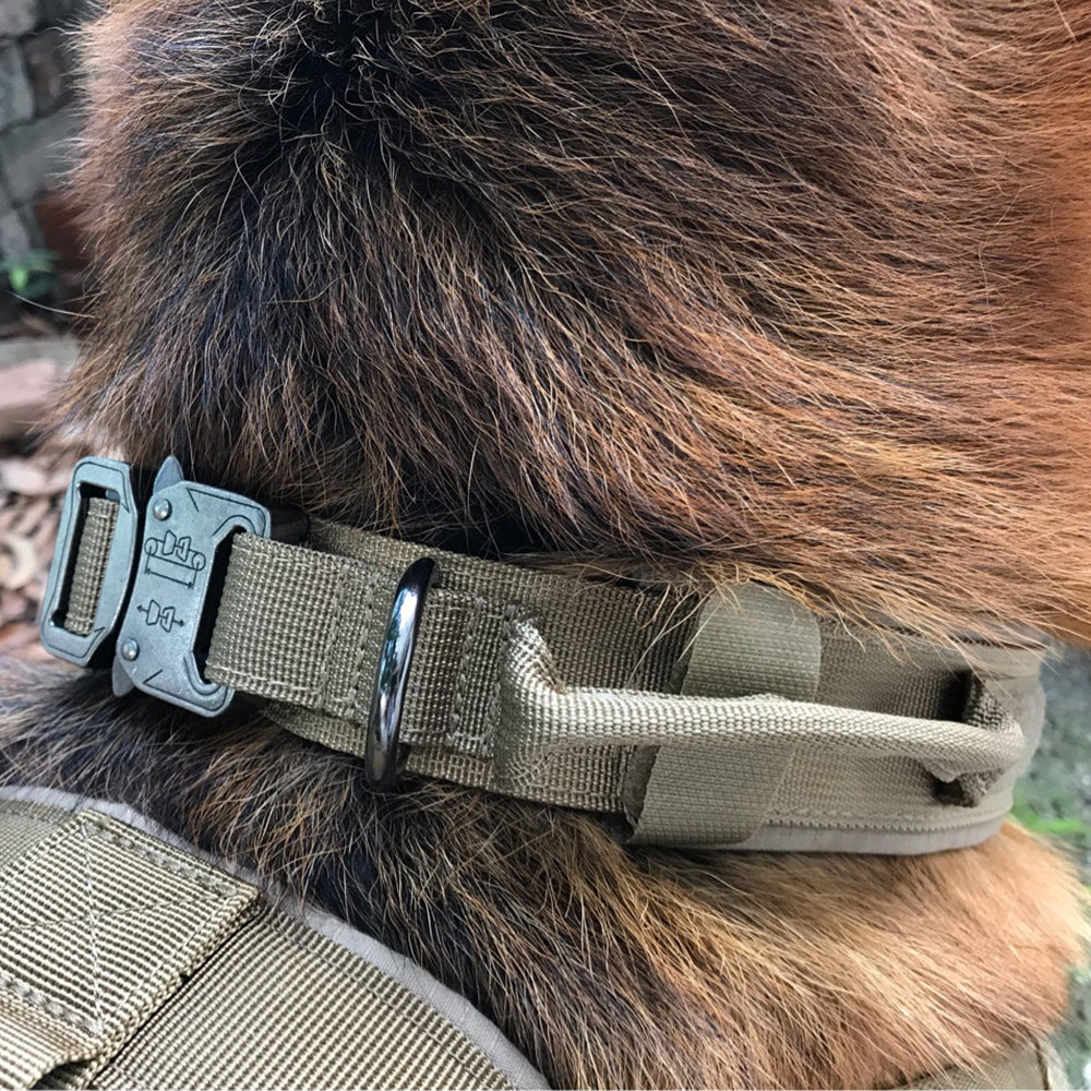 Buy Premium Dog Collar – Adjustable, Stylish & Comfortable Fit