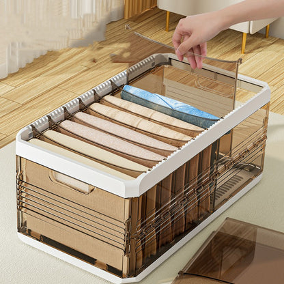 Artifact Wardrobe Storage Box – Stratified Division Organizer