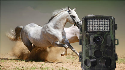 Buy Wild Hunting Camera with Motion Detection & Night Vision