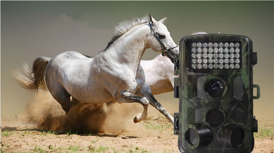 Buy Wild Hunting Camera with Motion Detection & Night Vision