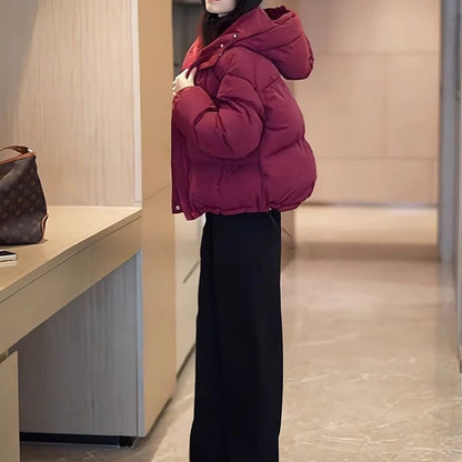 Buy Winter Korean-Style Cropped Hooded Cotton Jacket for Women