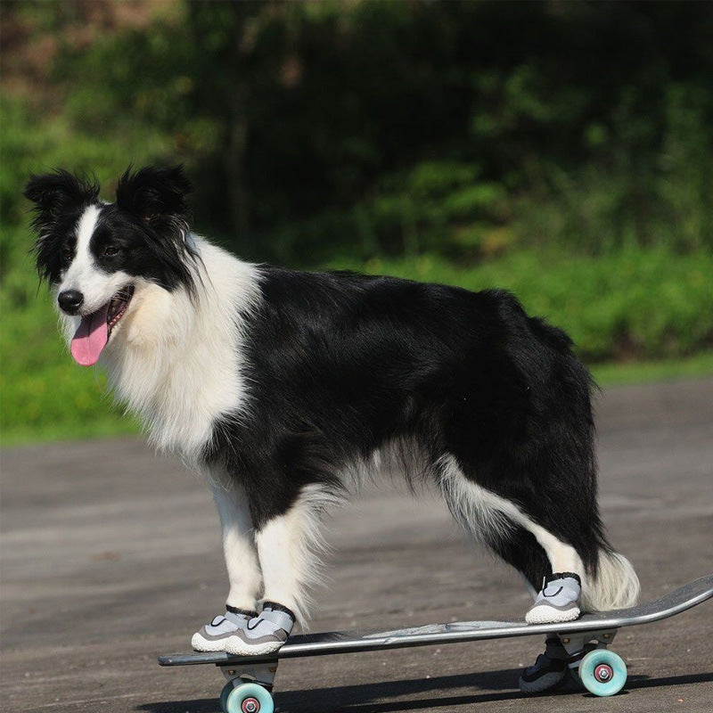 Pet Shoes for Big Dogs – Wear-resistant and Breathable Design
