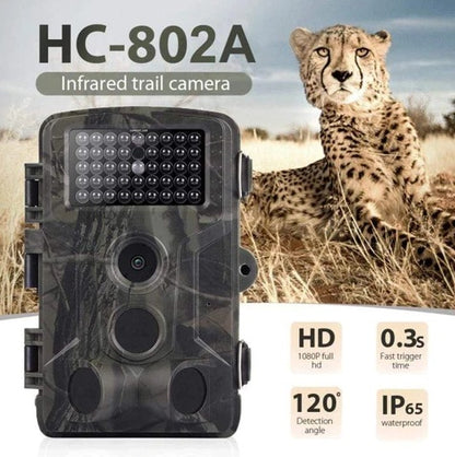 Buy Wild Hunting Camera with Motion Detection & Night Vision