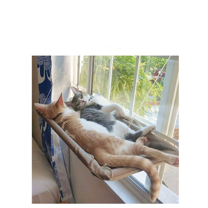 Buy Cat Window Hammock – Hanging Sun-Perch for Cats & Kittens