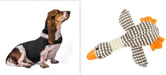 Buy Anxiety Jacket Vest for Dogs & Cats | Calming Comfort Wear