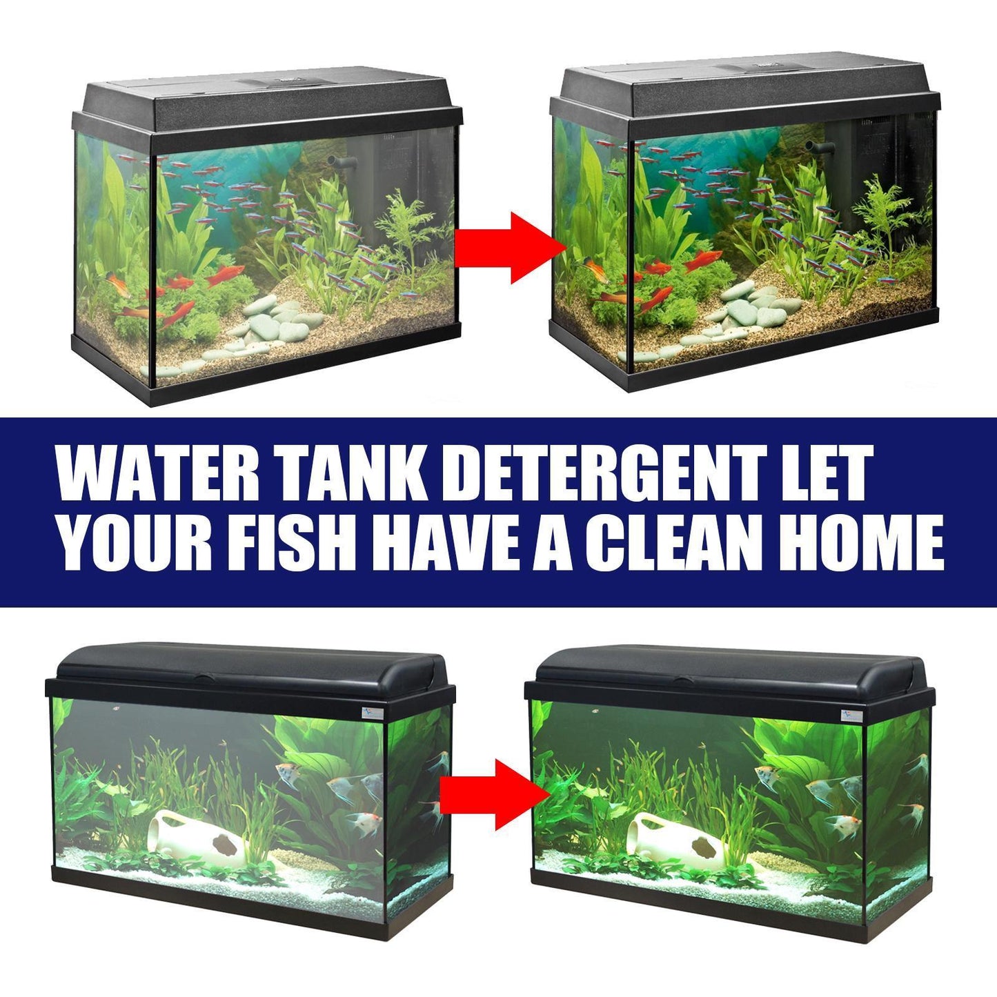 Buy Igbondigal Lichen Aquarium Algae Remover Cleaning Supply