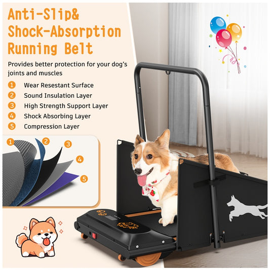 Small & Medium Dog Treadmill – Keep Pets Fit with Run & Walk