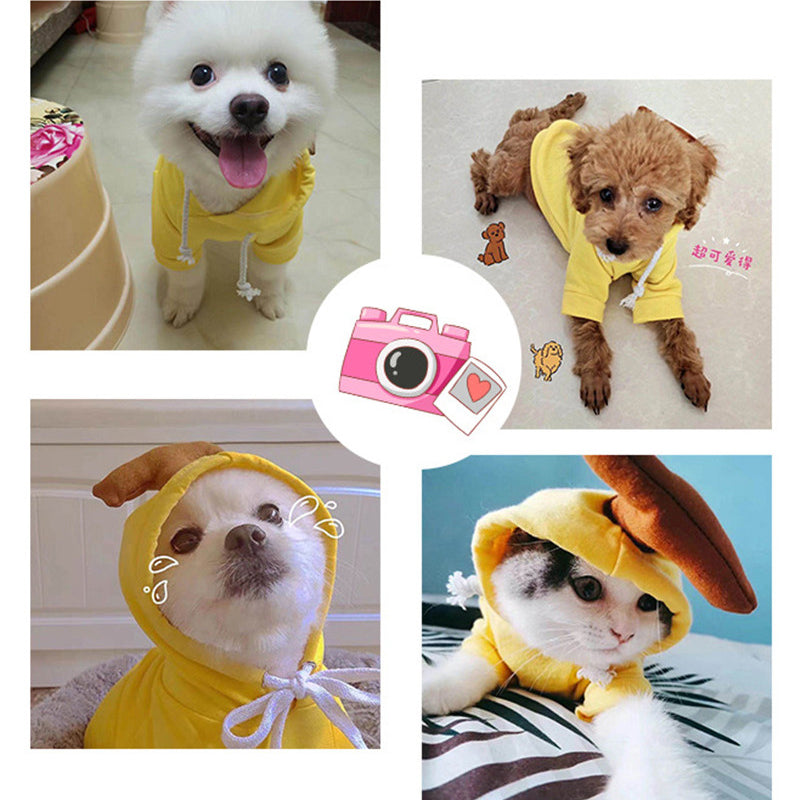 Buy Cute Fruit Dog Clothes for Small Dogs | Warm Fleece Hoodie