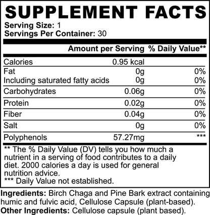 Natural Gut Wellness Capsules for Daily Digestive Care