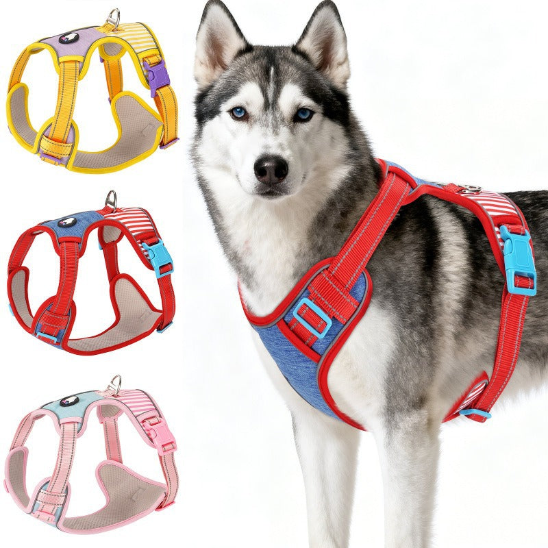 Adjustable Striped Dog Harness with Leash globalswanky 02