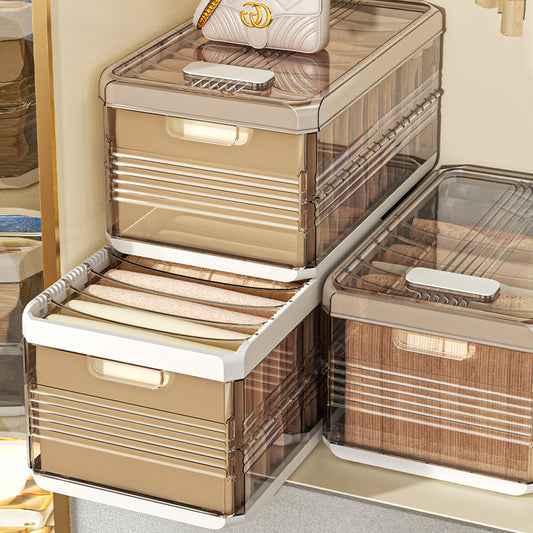  Artifact Wardrobe Storage Box – Stratified Division Organizer
global-swanky 1